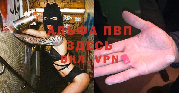 гашик Баксан