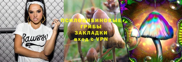 гашик Баксан
