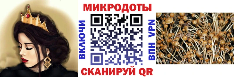 Псилоцибиновые грибы Magic Shrooms  Пущино 