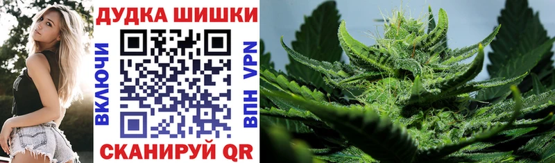 OMG tor  Пущино  Канабис гибрид 